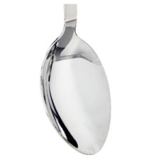 Cuillère en Acier Inoxydable 36 cm