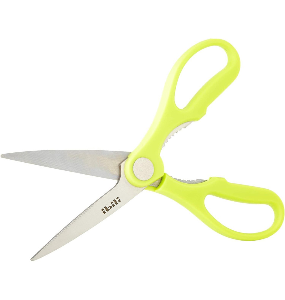 Ciseaux de Cuisine Classico, Acier Inoxydable, Argent/Vert, 21.5cm