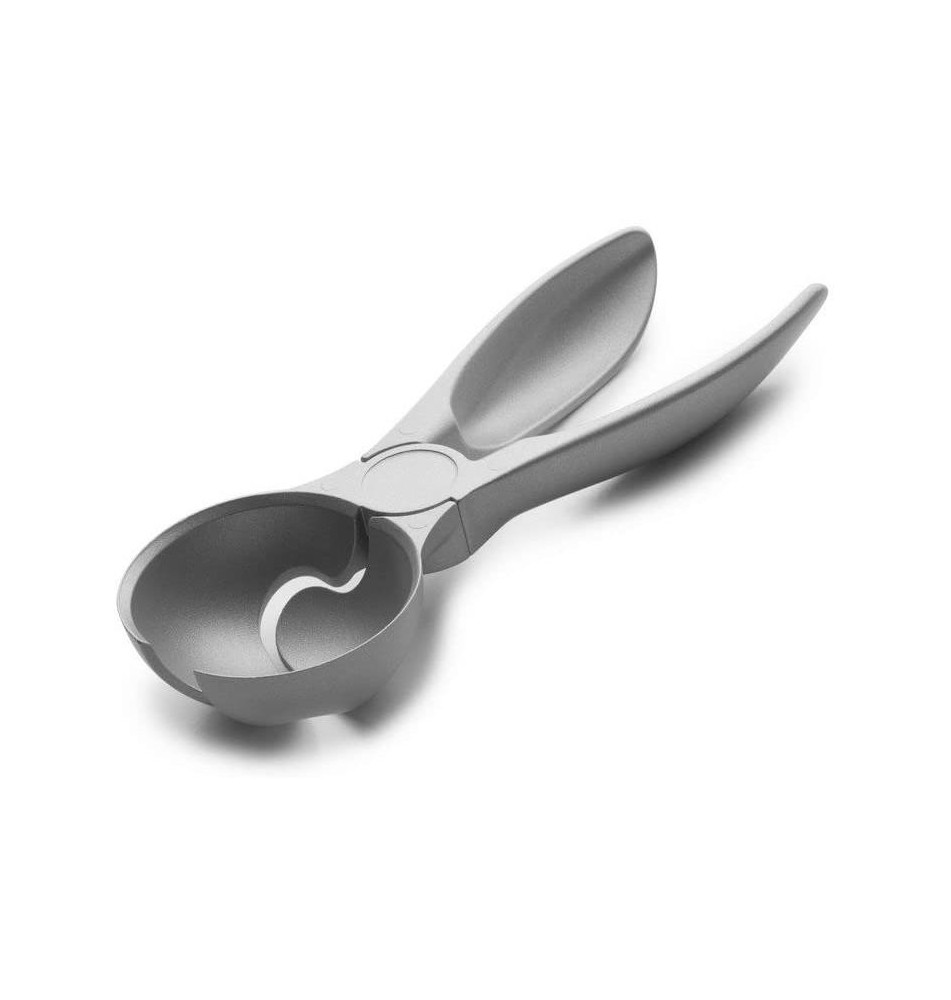 Cuillère à Glace