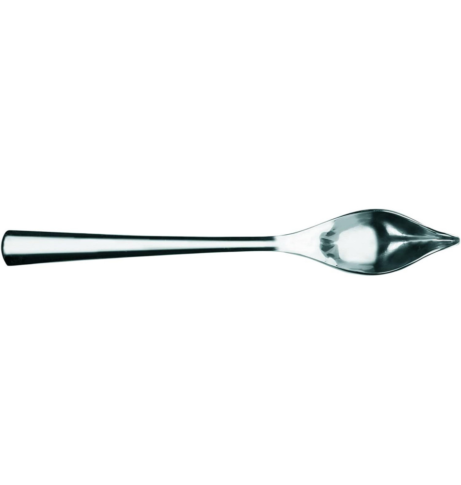 Cuillère Plume Inox pour Ecrire ou Dessiner avec les Sauces Sucrées ou Salées