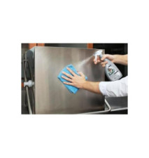 Flacon Pulvérisateur 750ml Nettoyant de surfaces Professional inox & verre