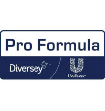 Dégraissant concentré puissant Professional 5 litres