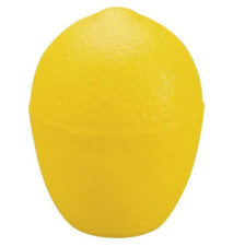 Boîte de Conservation pour Citrons