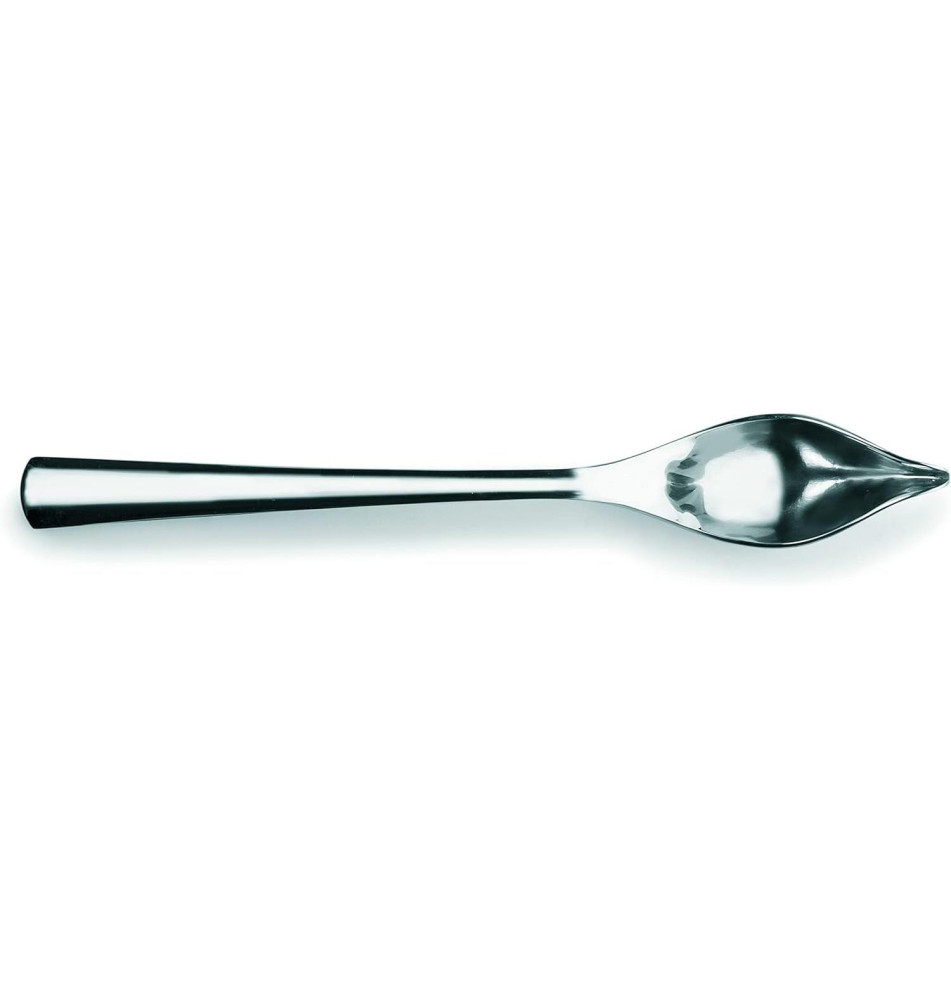 Cuillère à plumes 21 cm, acier inoxydable