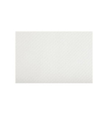 Set de table jetable 30x40cm Blanc par 500