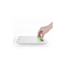 Balance de cuisine Kinetic, blanc/vert
