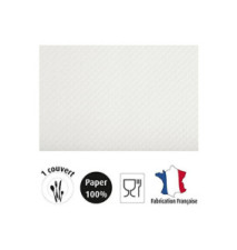 Set de table jetable 30x40cm Blanc par 500