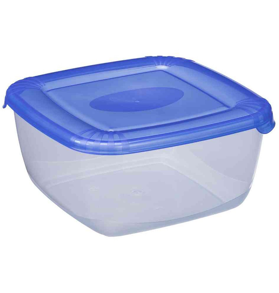 Boîte de congélation Polar, 2,5 litres, bleu