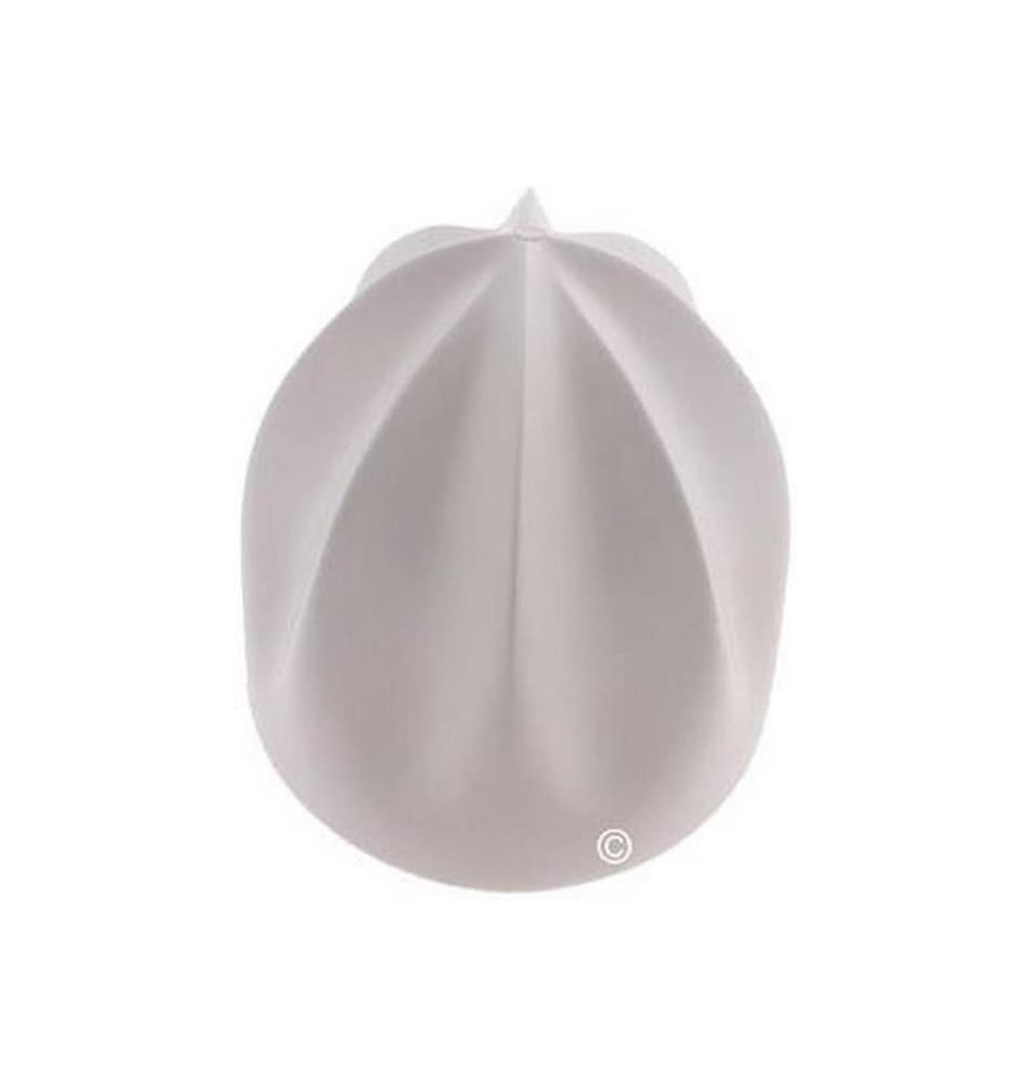 cone presse agrume