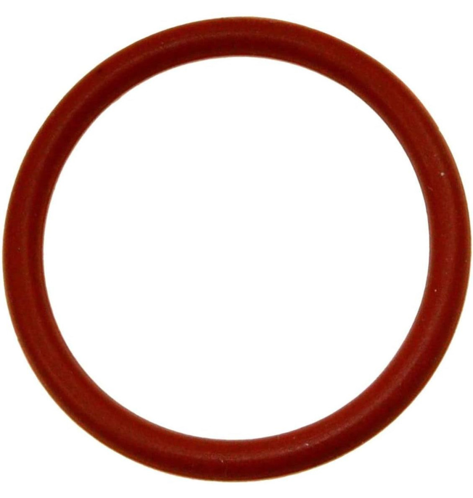 joint de bouchon de cuve Friteuse SS-984477